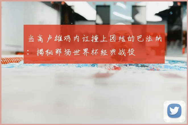 当高卢雄鸡内讧撞上团结的巴法纳：揭秘那场世界杯经典战役