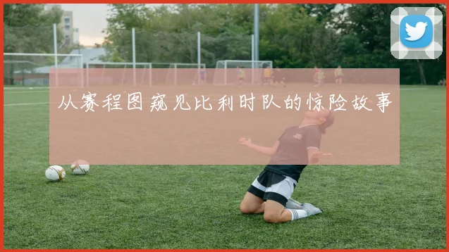 从赛程图窥见比利时队的惊险故事