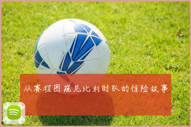 从赛程图窥见比利时队的惊险故事