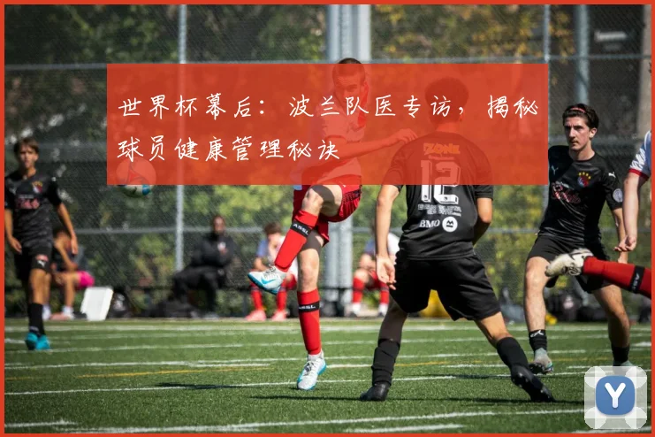 世界杯幕后：波兰队医专访，揭秘球员健康管理秘诀